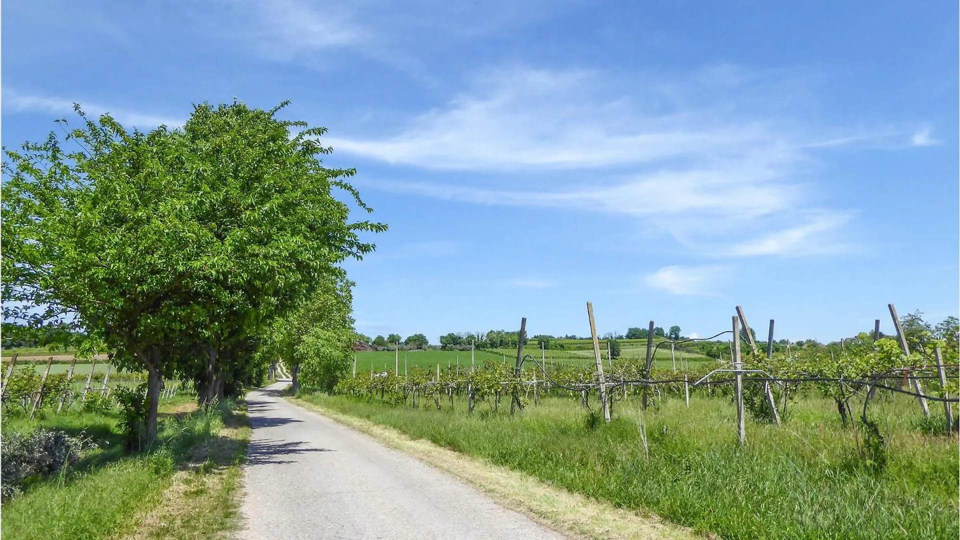 Stunning Home In Marano Di Valpolicella With Wifi Holiday home