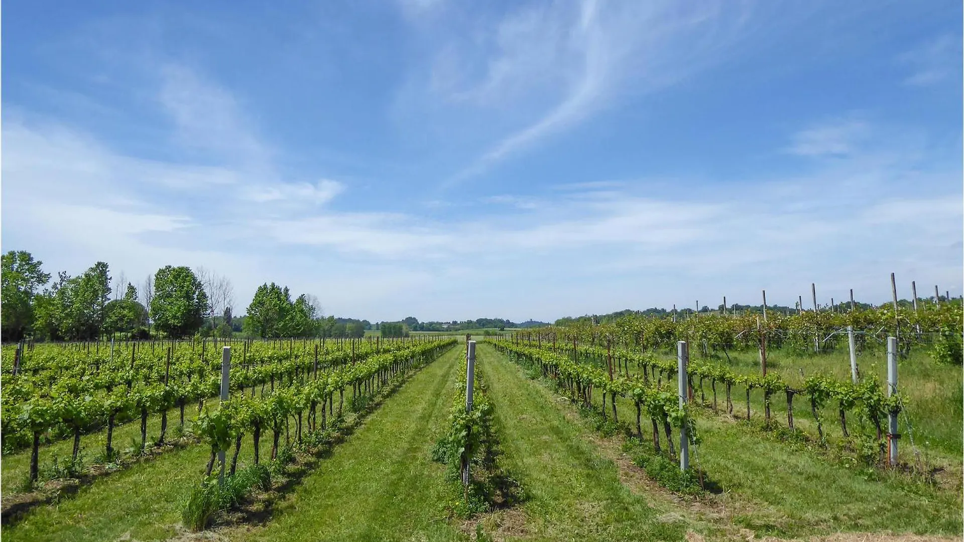 Stunning Home In Marano Di Valpolicella With Wifi