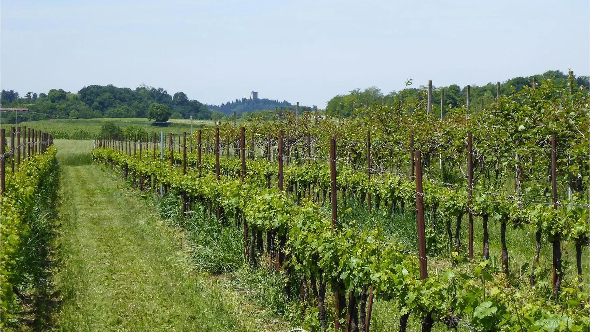 Holiday home Stunning Home In Marano Di Valpolicella With Wifi